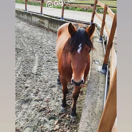 La Cavallina *