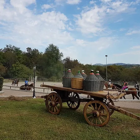 La Cavallina Gospodarstwo agroturystyczne *