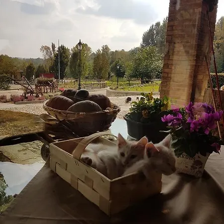 La Cavallina Gospodarstwo agroturystyczne Monguzzo